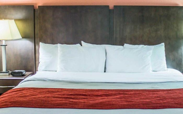 Quality Inn Raleigh Downtown