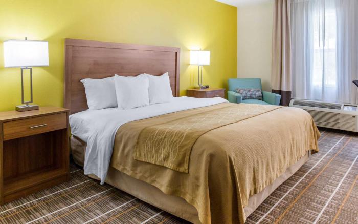 Quality Inn Stephens City-Winchester South