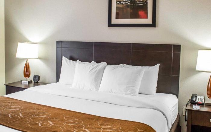Comfort Suites Wilson - I - 95