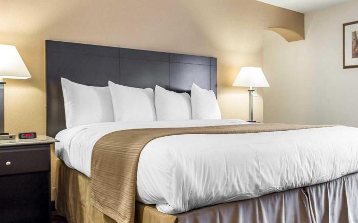 Quality Inn & Suites Coliseum