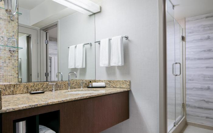 Hyatt Regency DFW International Airport