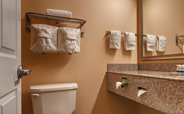 Best Western Plus New Caney Inn & Suites