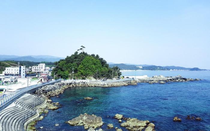 Yangyang Y Pension