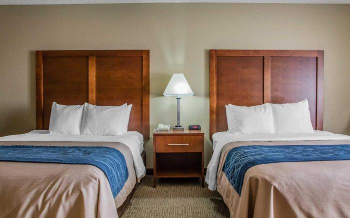 Comfort Inn & Suites Jackson - West Bend