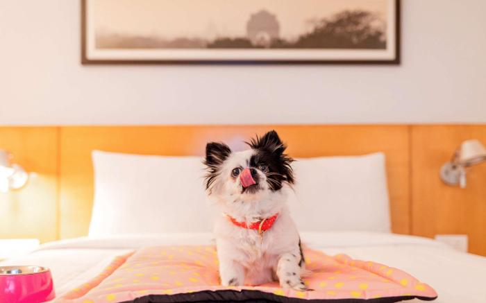 ibis Chennai Omr - An Accor Brand