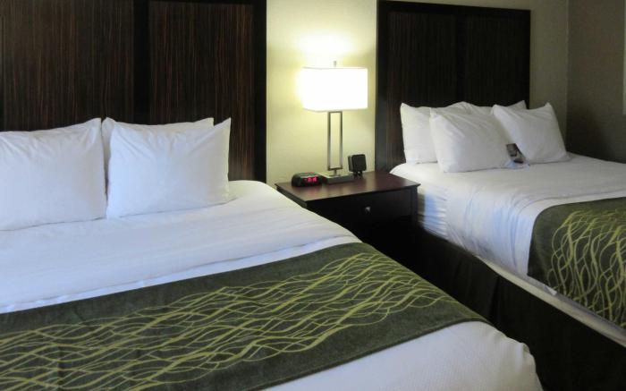 Comfort Inn Dallas Park Central