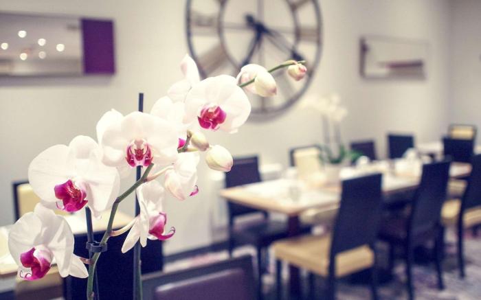 Hotel Mercure Angers Centre Gare