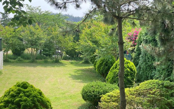 Anmyeondo Tamarind Pension
