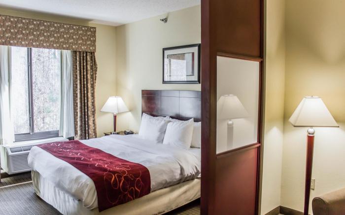 Comfort Suites Clayton - Garner