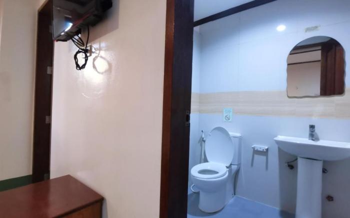 Alocasia Hostel