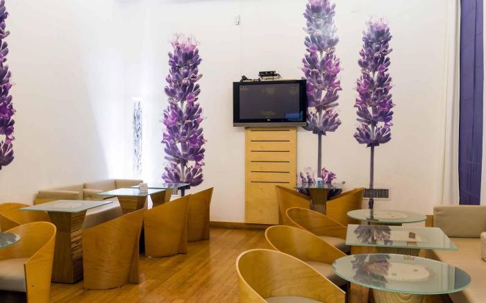 ibis Évora Hotel