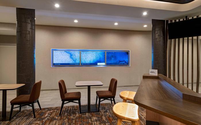 SpringHill Suites Dallas Richardson/University Area
