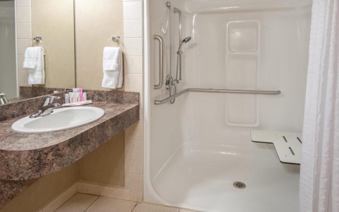 Ramada by Wyndham Drumheller Hotel & Suites