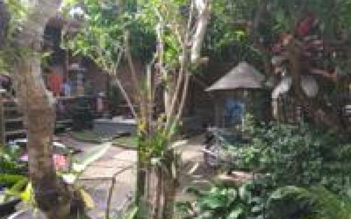 The Hidden Bali Inn