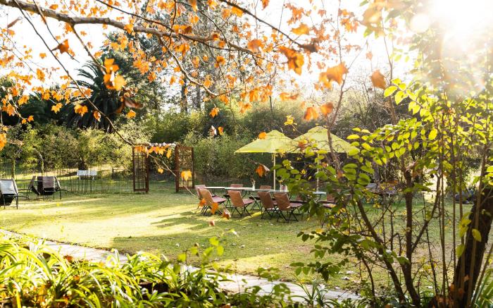 Hakunamatata Lodge and Health Spa