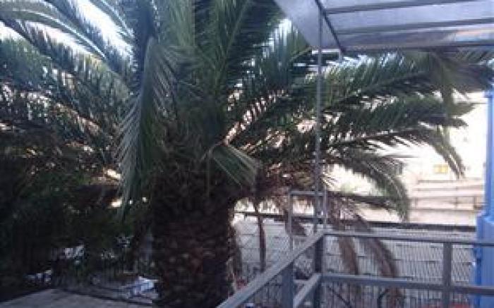 Atacama Hostel Backpackers