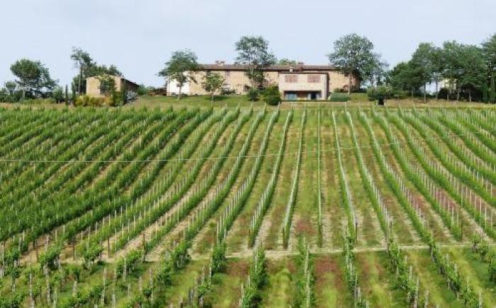 Il Rosolaccio