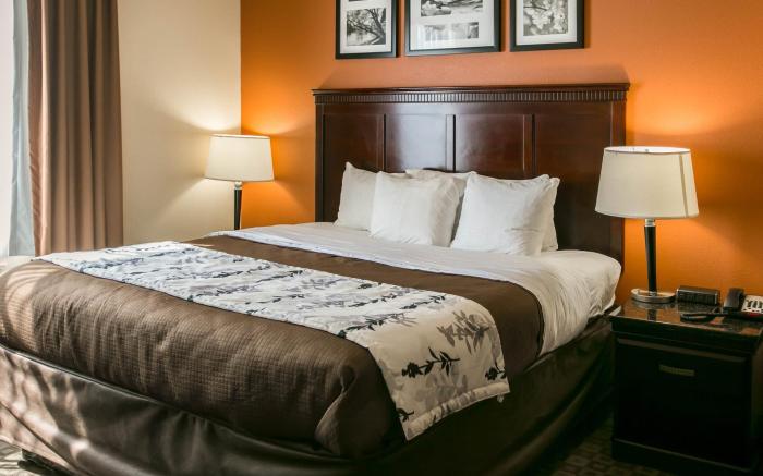 Sleep Inn & Suites Hwy 290/NW Freeway