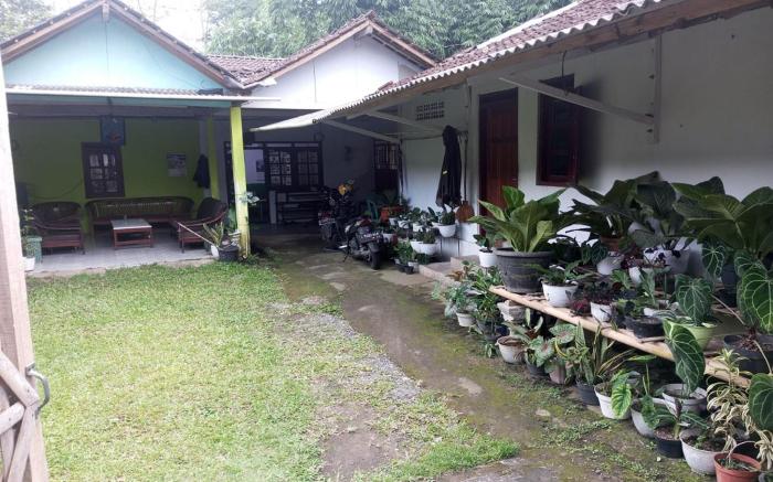 Homestay Wijaya Mulya
