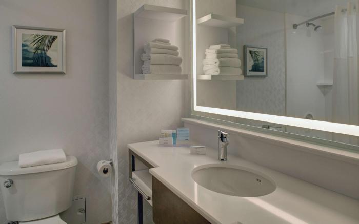 Hampton Inn & Suites Miami-Airport South-Blue Lagoon
