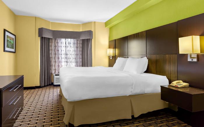 Best Western Knoxville Suites - Downtown