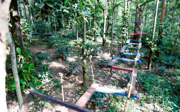 The Spectrum Resort – Chikmagalur