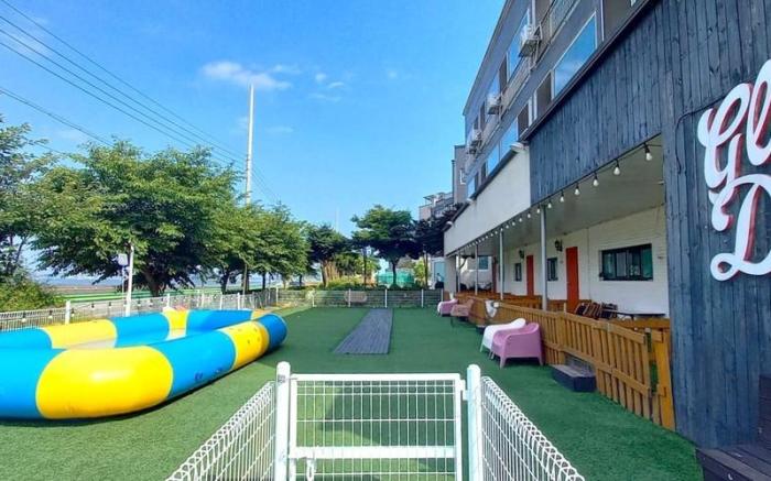 Youngheungdo Glamdog Pet Friendly