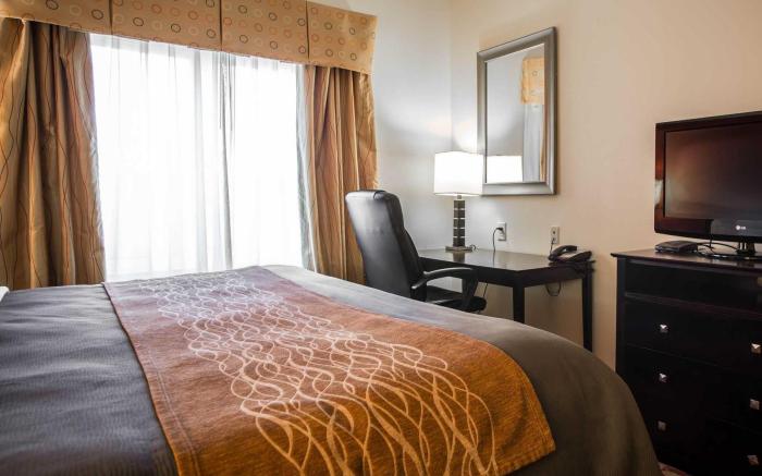 Comfort Inn & Suites Augusta Fort Eisenhower Area