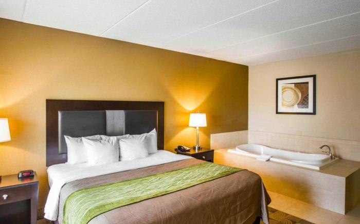 Comfort Inn Warner Robins - Robins Air Force Base Area