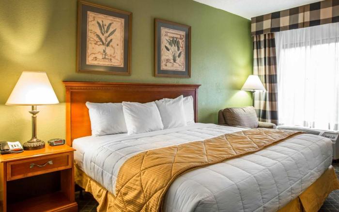 Clarion Inn & Suites Aiken South