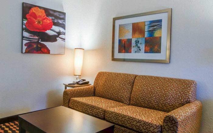 Comfort Suites Northside Hospital Gwinnett