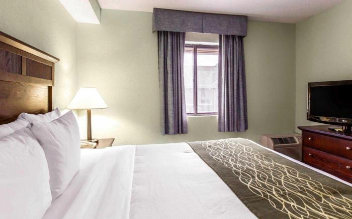 Comfort Inn & Suites - near Robins Air Force Base Main Gate