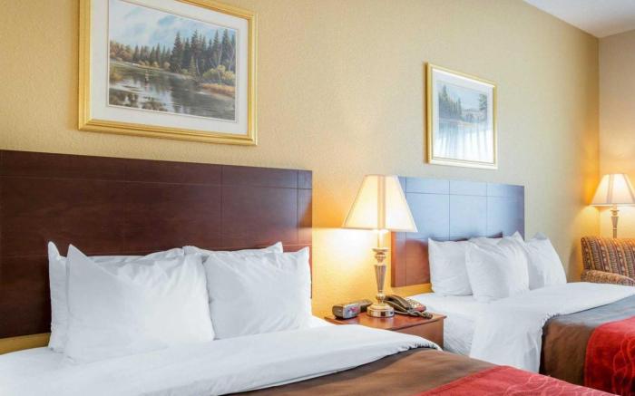 Comfort Inn Blackshear Hwy 84