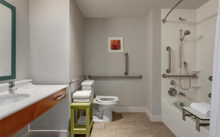 Hampton Inn and Suites by Hilton Tampa Busch Gardens Area