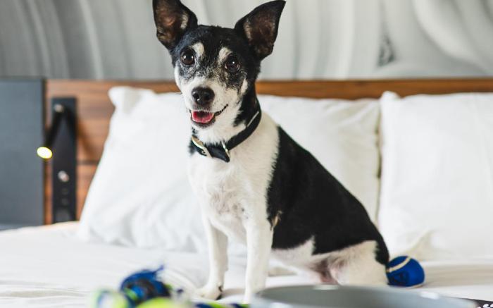 Novotel Cambridge North