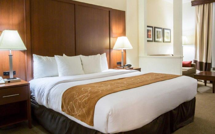 Comfort Suites Cumming-Atlanta near Northside Hospital Forsyth