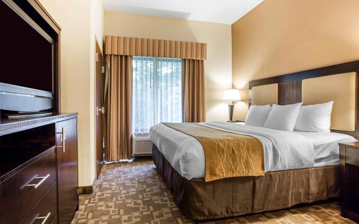 Comfort Suites At Kennesaw State University
