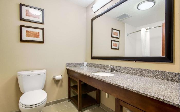 Comfort Inn & Suites Macon North I-75