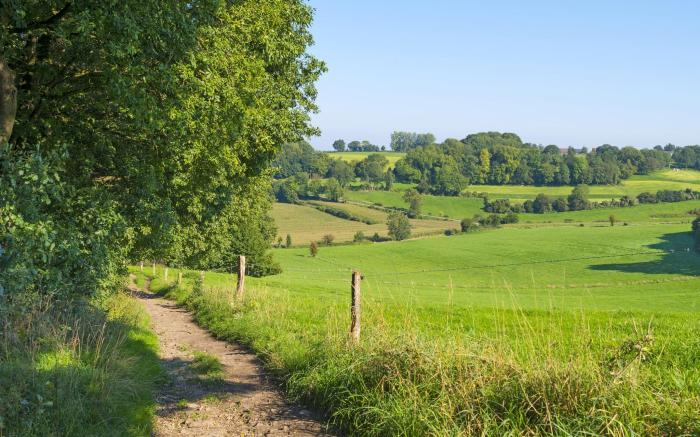 Holiday Home in Limburg with Outdoor Fireplace