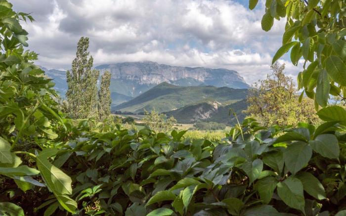 Cozy Nature Stay in Diois