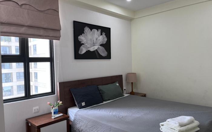 Cozy Apart in Vinhomes Dcap 2BR with good view