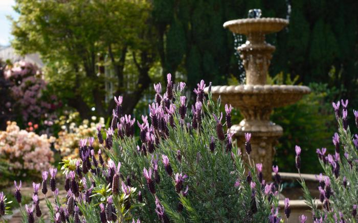 La Maison Boutique Hotel