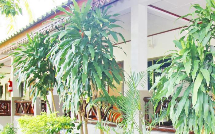 Lamai Inn 99 Bungalows