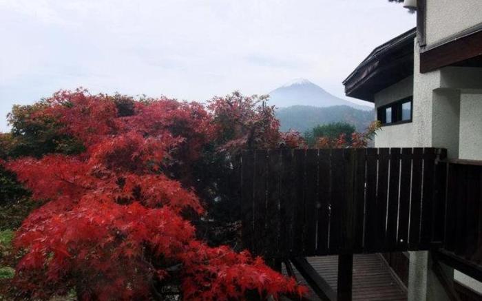 Guesthouse Sakuya