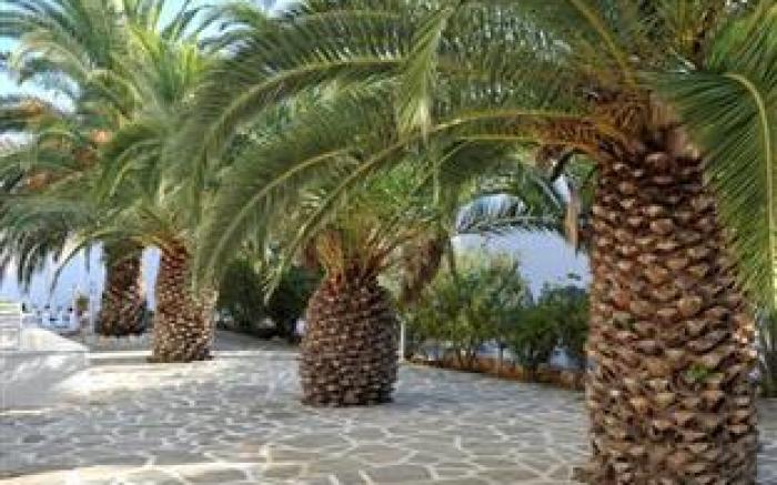 Narges Hotel