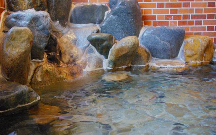 Onsen Guesthouse Aobatonosu