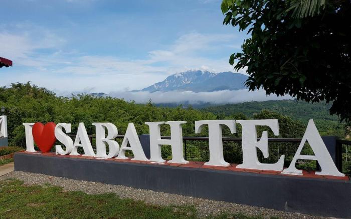 Sabah Tea Resort