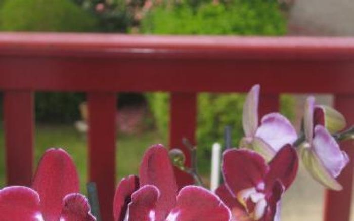 Hotel Residence Bellevue