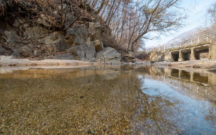 Pocheon Herbville Pension