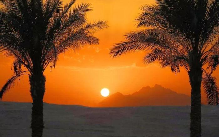 Premier Le Reve Hotel and Spa Adult Only